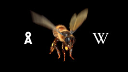 Armedangels x Wikipedia Bee Banner keingarten